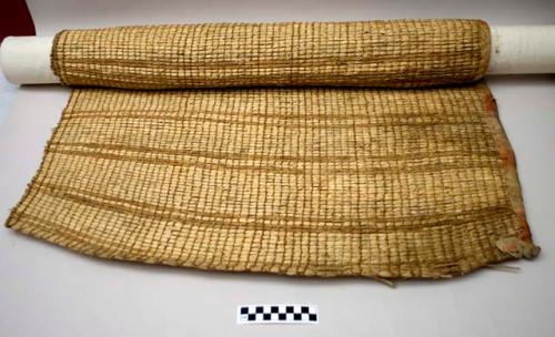 Mat of elaegnus bark and 2 bone pins