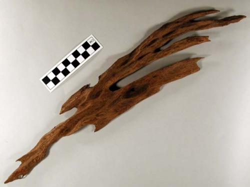 Piece of ironwood, irregular shape. l: 44.7 cm.