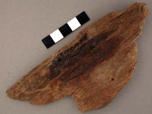 Wood, worked flat fragment, irregular shape