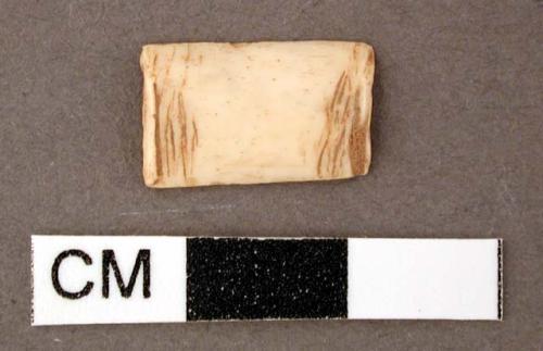 Bone shaft fragment, incised at both ends, possible tubular bead fragment