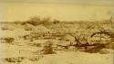 Photographs of excavation at Los Muertos, Arizona.