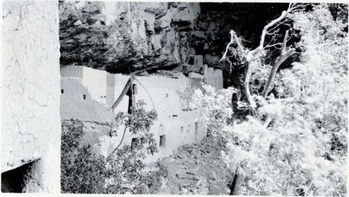 Cliff Dwellings