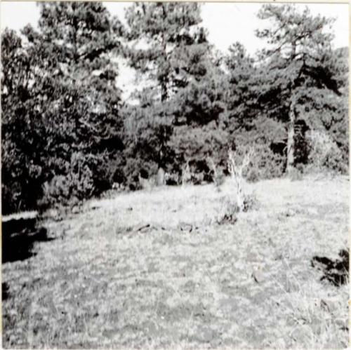 P.A. 10#12 - vicinity of Prescott. Camp Wood. Harry Knight Ranch