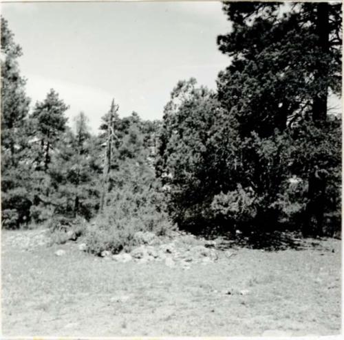 P.A. 10#12 - vicinity of Prescott. Camp Wood. Harry Knight Ranch