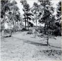 P.A. 10#12 - vicinity of Prescott. Camp Wood. Harry Knight Ranch