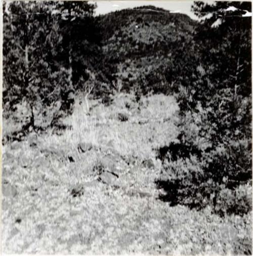 P.A. 10#12 - vicinity of Prescott. Camp Wood. Harry Knight Ranch