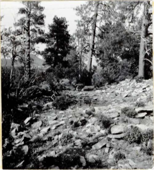 P.A. 10#12 - vicinity of Prescott. Camp Wood. Harry Knight Ranch