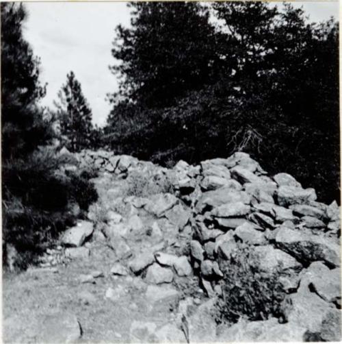 P.A. 10#12 - vicinity of Prescott. Camp Wood. Harry Knight Ranch