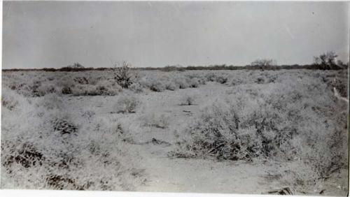 Ancient irrigation canal, looking SE