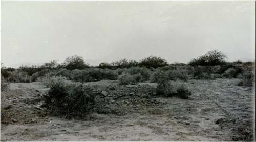Ruins IV&V-unexcavated house mound.