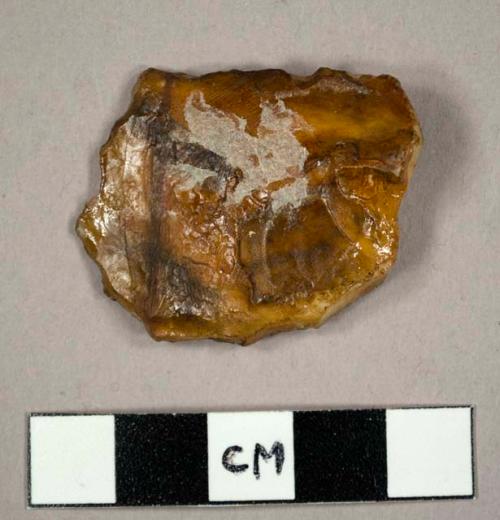 CAST of one of 34 rocks (type collection)  collected by Leakey & Simpson