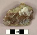 CAST of one of 34 rocks (type collection)  collected by Leakey & Simpson