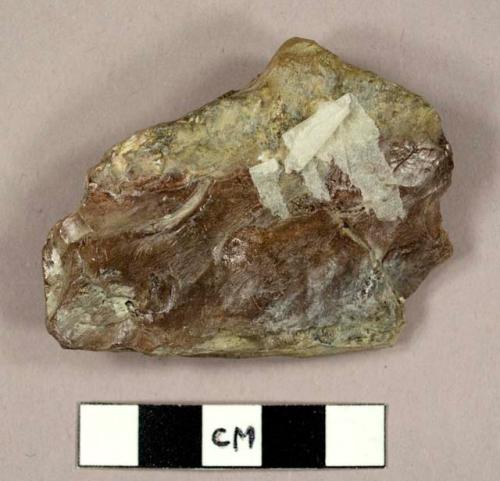 CAST of one of 34 rocks (type collection)  collected by Leakey & Simpson