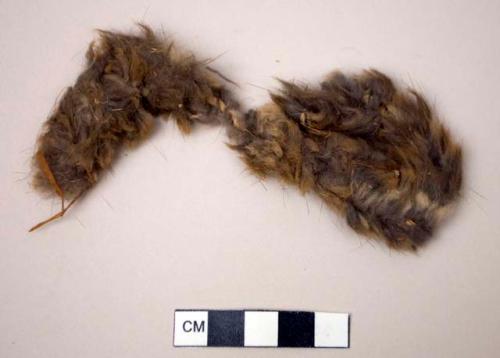 Hide fragment with fur, twisted