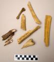 Bone fragments, faunal remain including jaw with five teeth