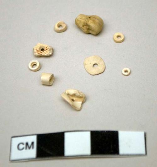 Shell beads, worked bone