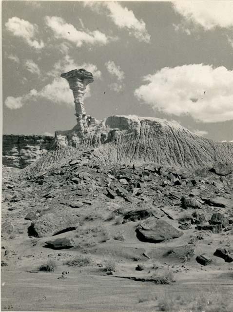 Petrified forest.