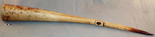 War horn made from elephant's tusk