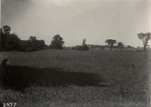 Heath Site looking south