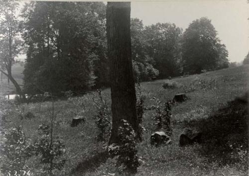 Heath Site looking southwest