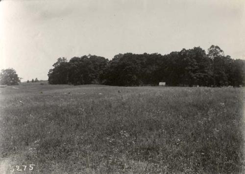 Heath Site looking north