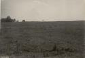 Durfee site; Pierreport Manor, village site looking south