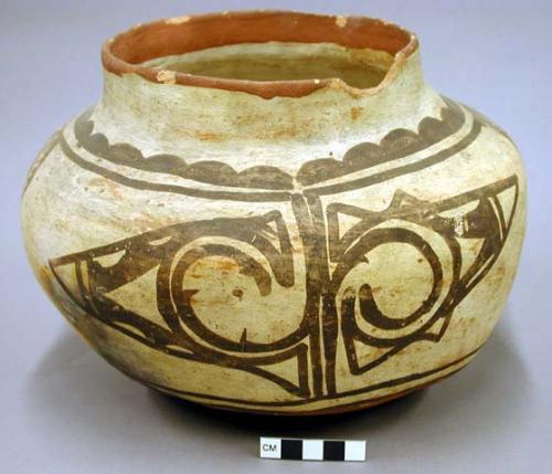 Jar, polacca polychrome style c. zuni rain bird design. 19.5 x 26.0 cm.