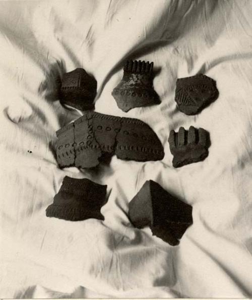 Sherds from Loveland collection