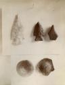 Stone tools and unidentified round object, possibly an earspool