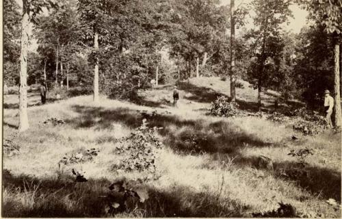 Mounds on Adams Bluff.