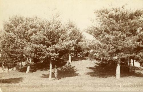 F.W Putnam standing before mound in cemetery.