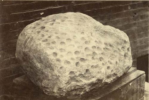 Rock (red sandstone) from Lawrence County