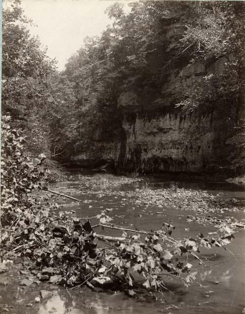 Scene in creek below Fort Hill