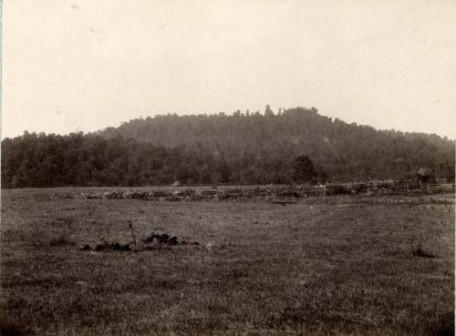 Field, mills and wooden structure in background, Fort Hill from south