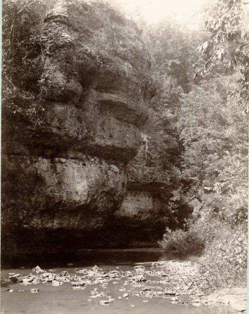 Scene in the creek below Fort Hill.