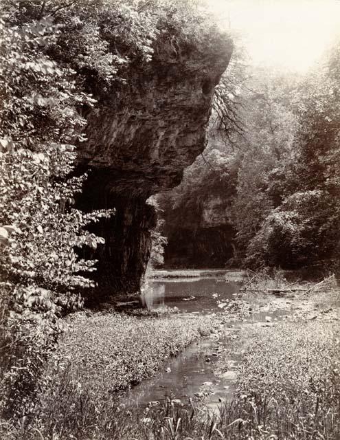 Scene in the creek below Fort Hill.