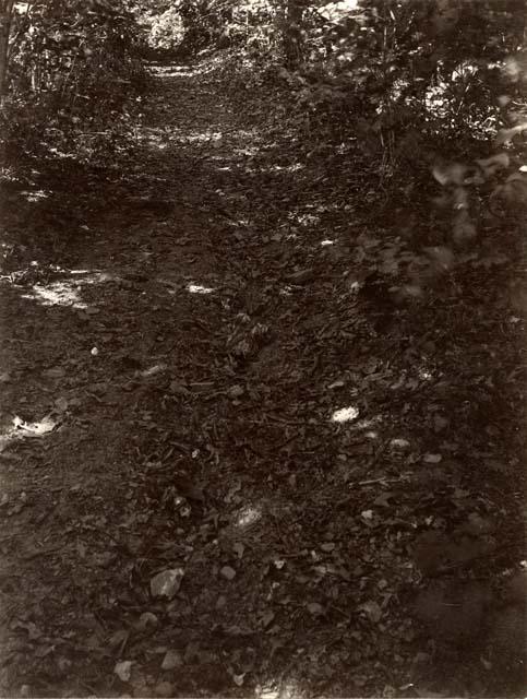 Fort Hill, path in woods beneath rocks.