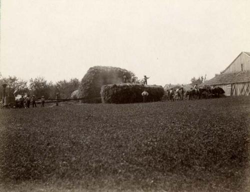 Threshing scene near Fort Hill.