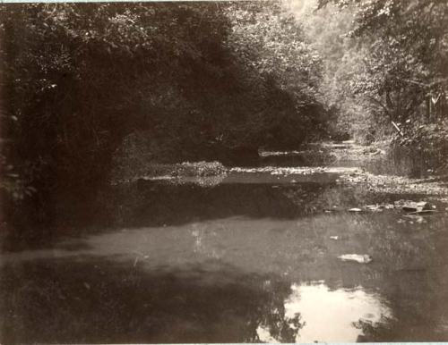 Creek below Fort Hill.