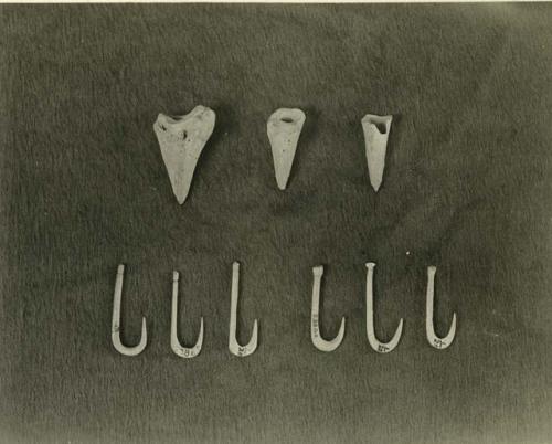 Studio shots of hooks and teeth.