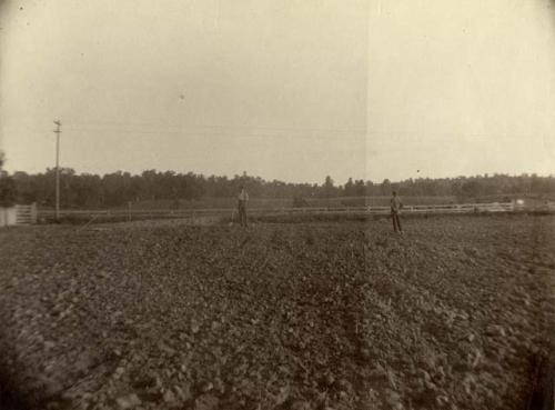 North Fork Works, view from the south of mound 11.