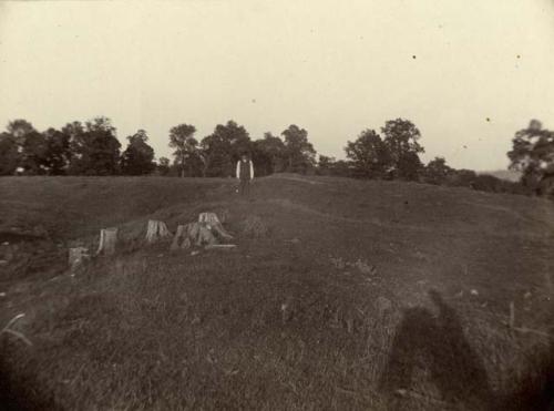 View from west at embankment at north side of works showing large stumps on it.