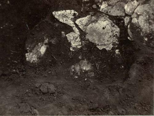 North Fork Works. View of bone needles in Mica Mound