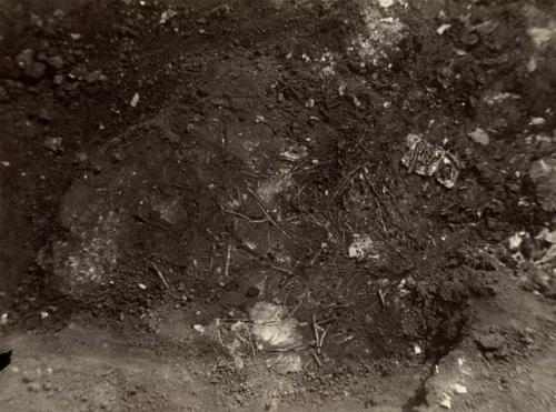 North Fork Works. View of bone needles in Mica Mound