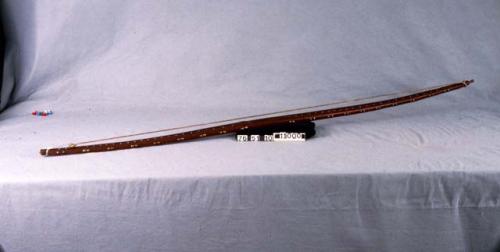 Bow. (Known as the "Francis Parkman Bow"). 122.5x3x2 cm.