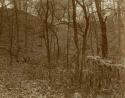 Path to Madisonville cemetery up to the hillside.