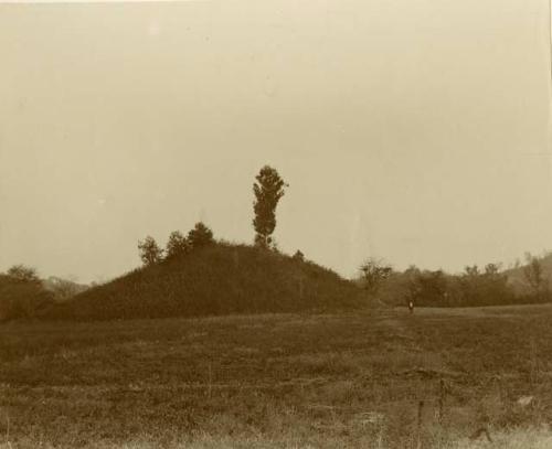 Mound on the Martin estate.