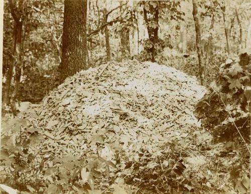 Pile of general refuse from trench I and parts of trenches II and III.