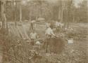 Workers, Indian cemetery.