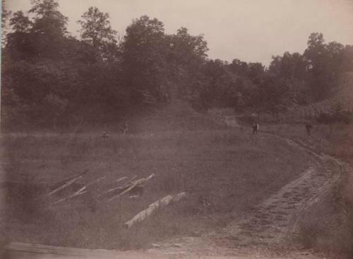 Photos of field and surroundings.